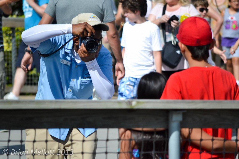 Capturing the Moment--Sea World, Kissimmee, FL