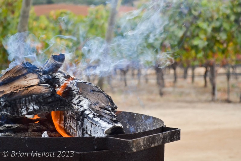 Fire Pit--Lapostolle Winery, Colchagua, Chile