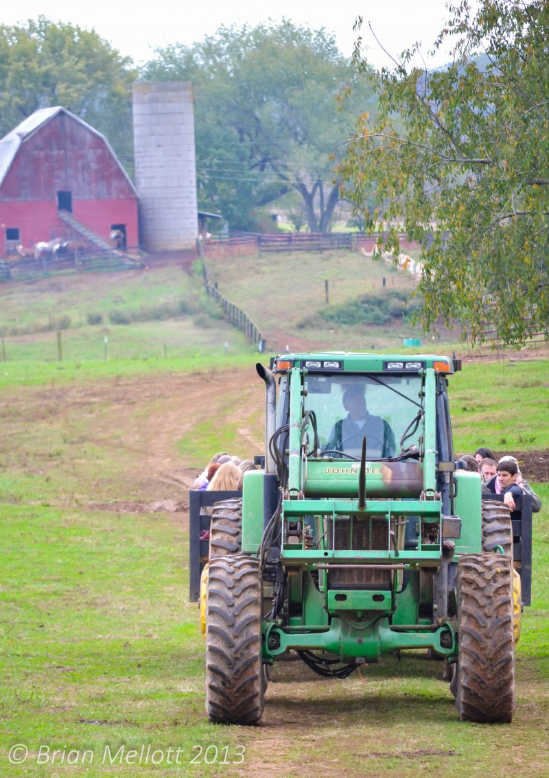 Hay Ride--Round Hill Farm, Culpeper, VA