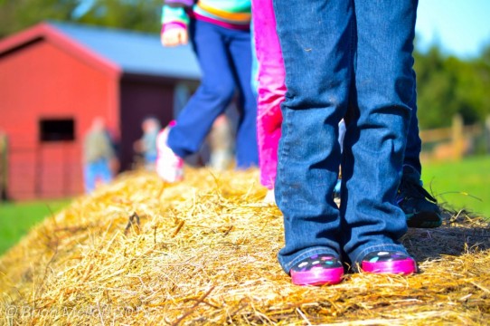 Little Feet in the Country