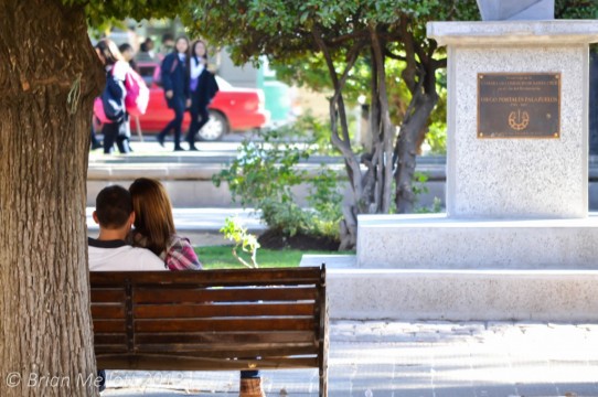 Lovers in the Park