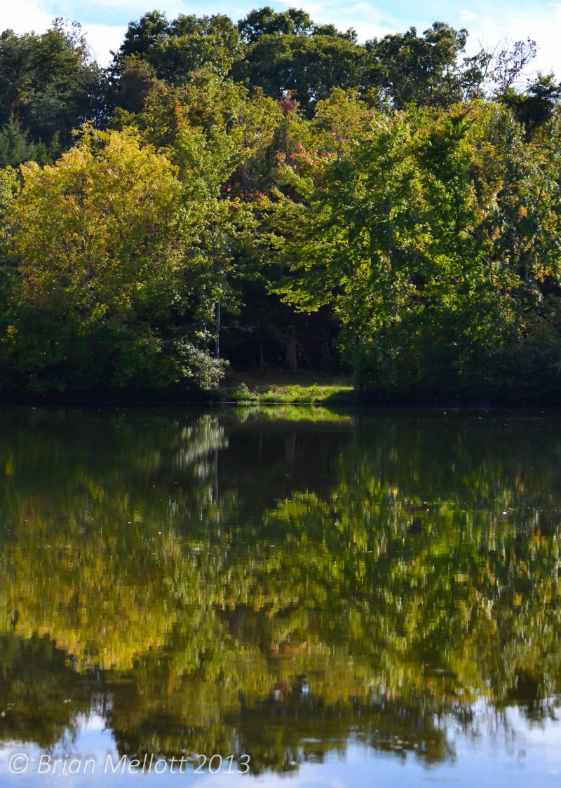 Secret Reflection--Dover-Foxcroft, Albemarle, VA