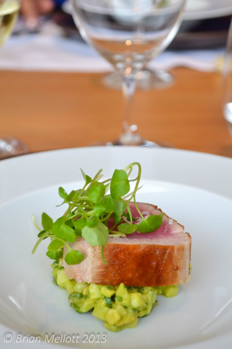 Tuna with Avocado--Casa Mirador, Casablanca Valley, Chile